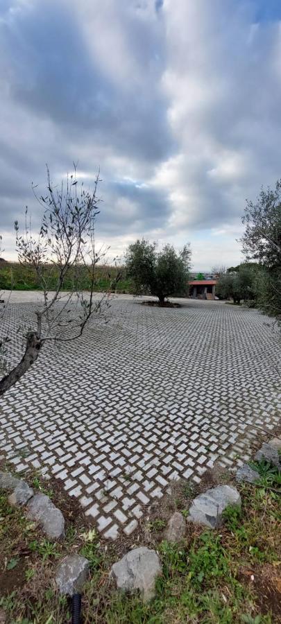 Merumalia Wine Resort Frascati Extérieur photo