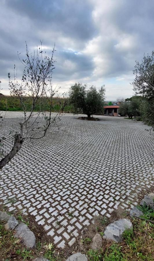 Merumalia Wine Resort Frascati Extérieur photo