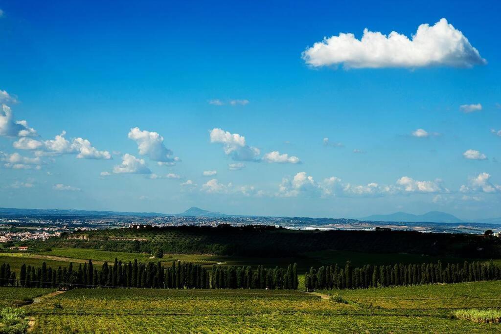 Merumalia Wine Resort Frascati Extérieur photo