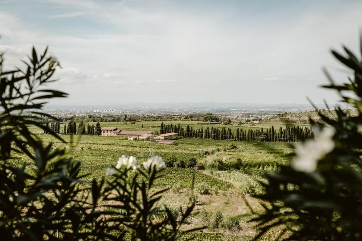 Merumalia Wine Resort Frascati Extérieur photo