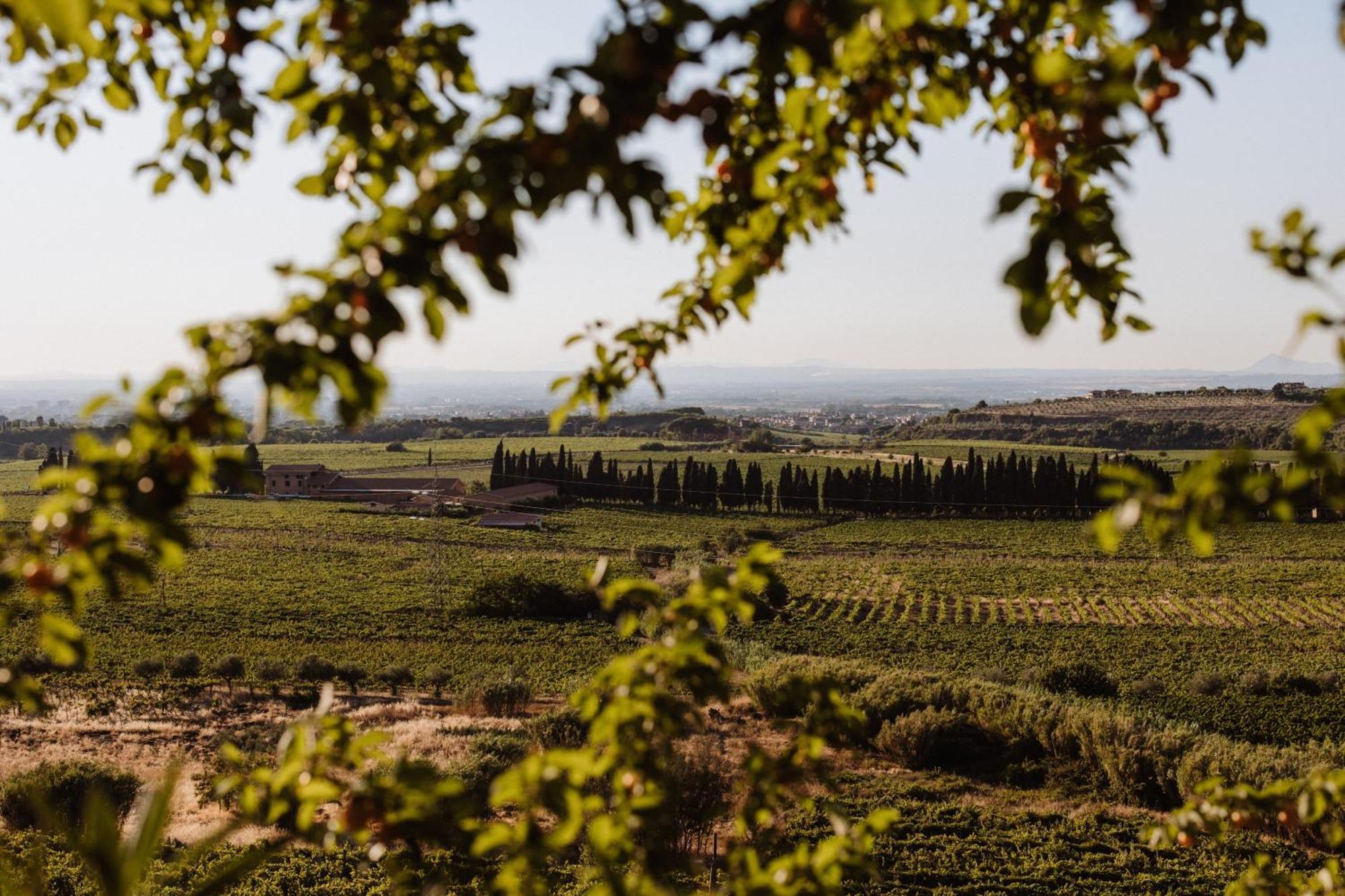 Merumalia Wine Resort Frascati Extérieur photo