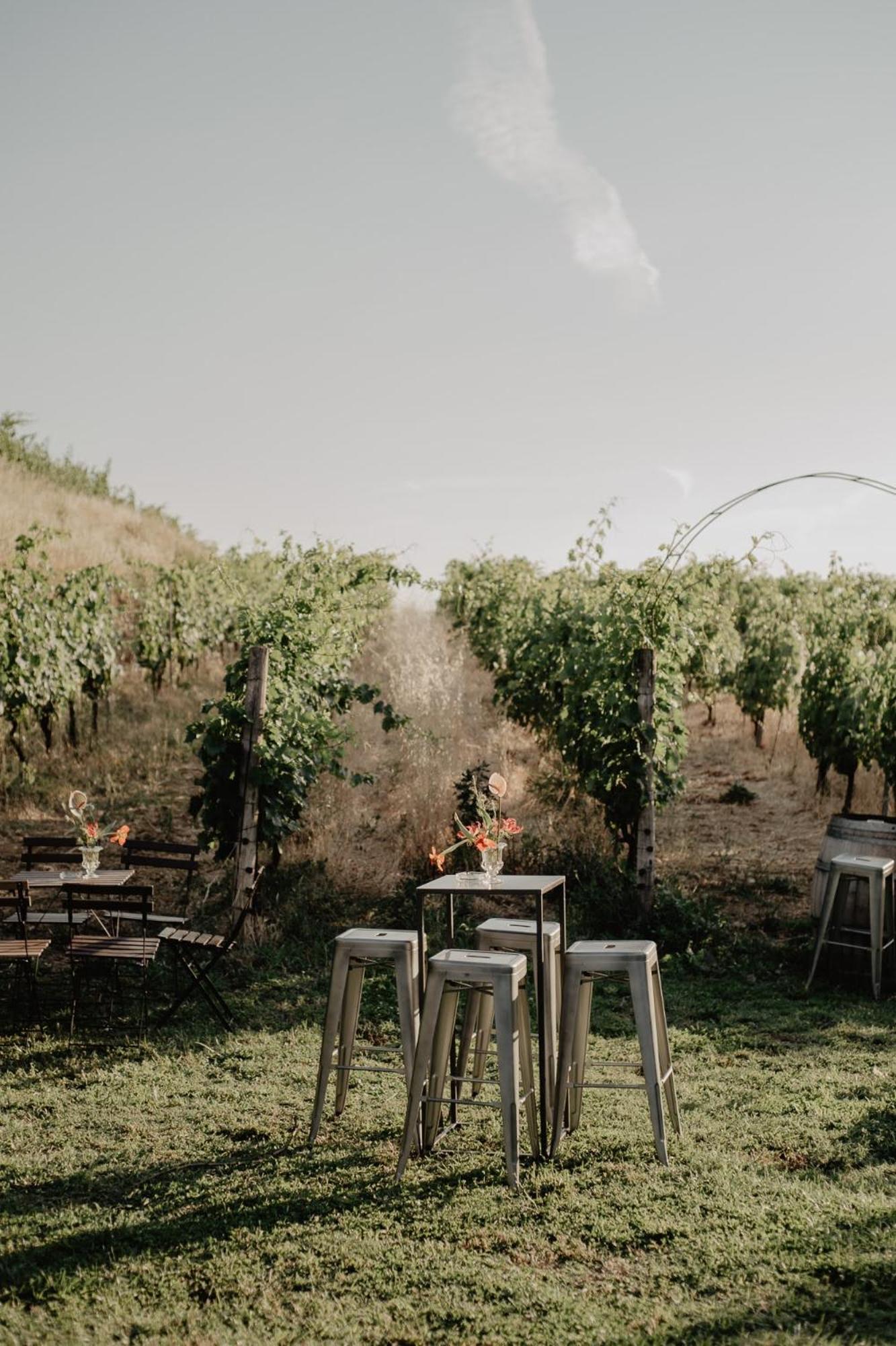 Merumalia Wine Resort Frascati Extérieur photo