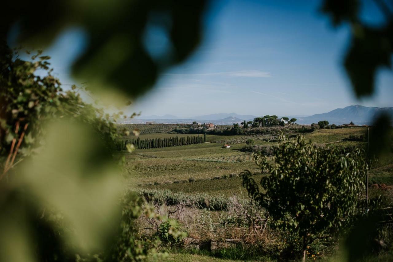 Merumalia Wine Resort Frascati Extérieur photo